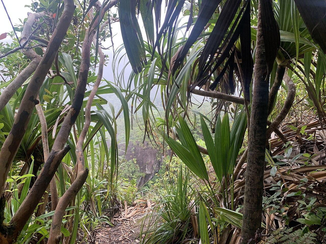 Mahé, Seychelles